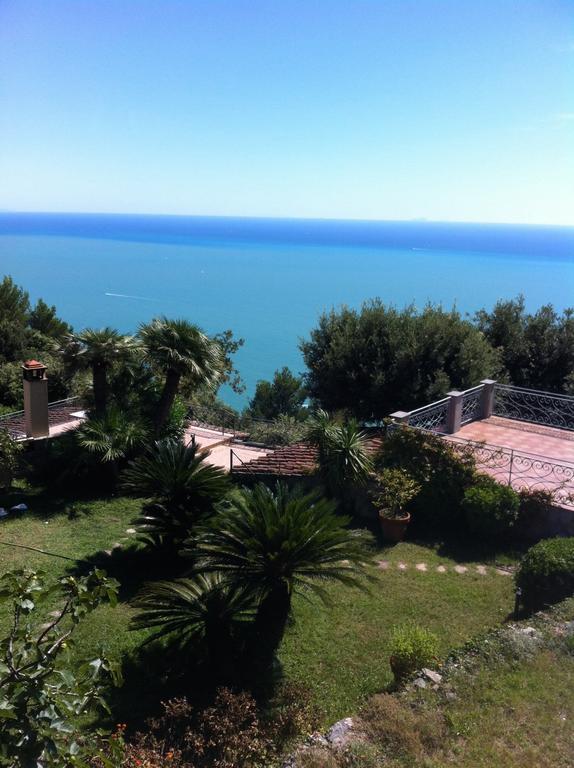 Le Palme *