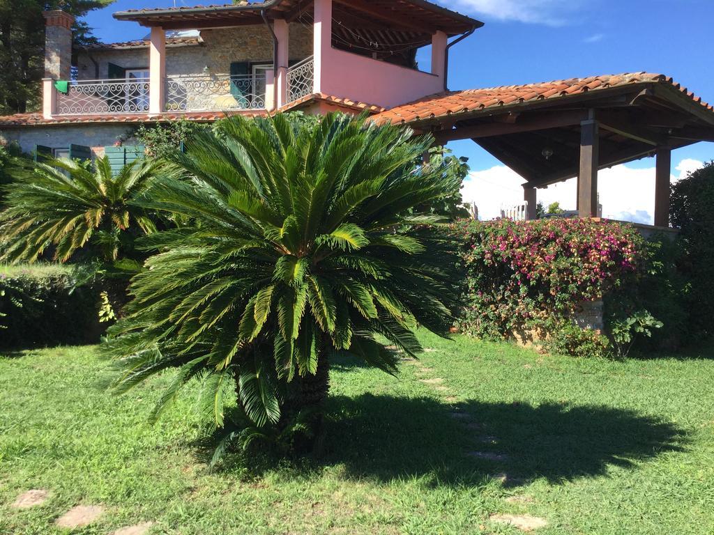 Le Palme
